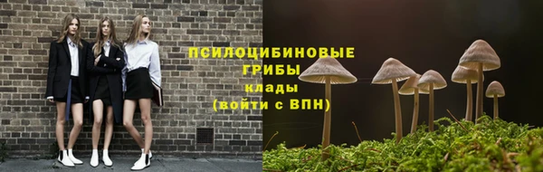 стафф Алексеевка