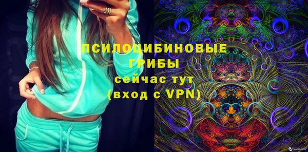 герыч Алексин