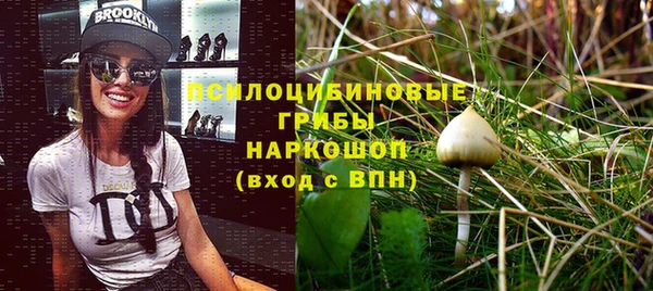 2c-b Осташков