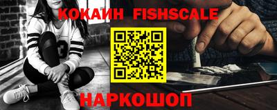 стаф Гай