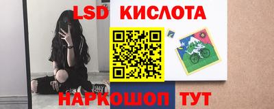 стаф Гай