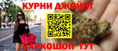 стаф Гай