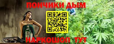 стаф Гай