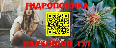 стаф Гай