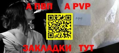 стаф Гай