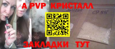 стаф Гай