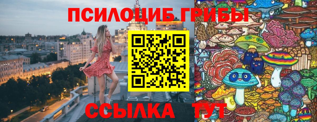 Галлюциногенные грибы GOLDEN TEACHER  Псилоцибиновые грибы MAGIC MUSHROOMS  Йошкар-Ола  Вход с VPN 